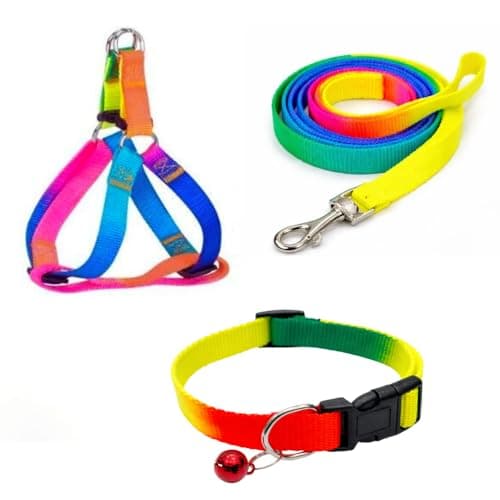 Dog Trust Colourful Adjustable Nylon Puppy Leash Harness and Collar Combo, Suitable for Puppy 15 mm Multicolor (Collar + Harness + Leash) 01
