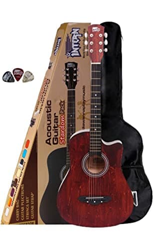 Intern 38 Inch Acoustic Guitar Cutaway with Carry Bag & Picks | Wooden Guitar for Beginners, Adults | Perfect Acoustic Guitar for Learning, Jamming & Stage Performance Matt.(Brown)