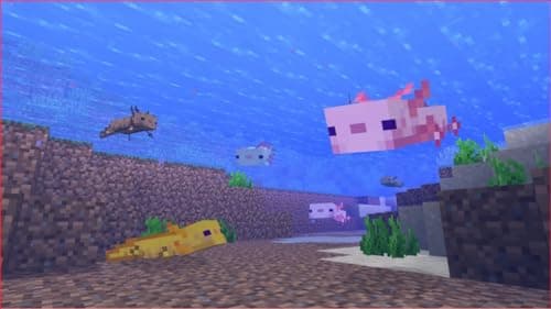 Minecraft with 3500 Minecoins – Xbox Series X, Xbox One 2