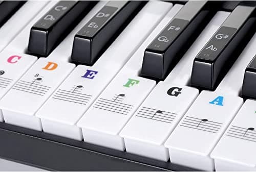 DOMENICO Electronic Digital Piano Keyboard 61 Keys- Multi-Function Portable Piano Keyboard Electronic Organ With Piano Bag + Piano Stickers 3