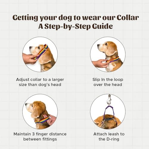 PetWale Orange Fabric Dog Martingale Collar | Comfy & Secure Fit | No Neck Strains | Easy to Use & Durable | Stylish Design | Dog Accessory | Size S 5