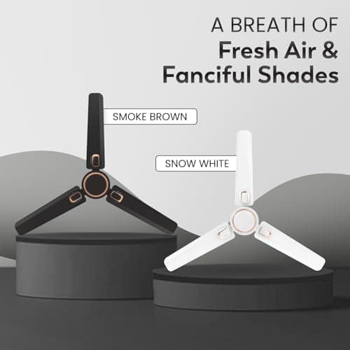 Polycab Superb Plus 1200mm Star Rated Ceiling Fan For Home | High Speed & Air Flow, 100% Copper | Saves up to 33% Electricity | 2 years warranty【Smoke Brown】 5