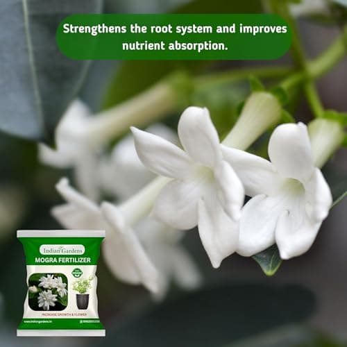 Indian Gardens - Mogra Fertilizer (400 Grams) | Organic Flower Booster for Jasmine Plants | Promotes More Flowers | Green Leaves & Strong Roots 5