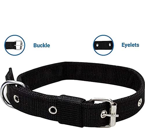Agirav No Pull Dog Harness - Step in Dog Harness and Leash for Small Medium Large Dog - Escape Proof Adjustable Soft Leash Collar Set for Walking Training Hiking Outdoor, 15 Cm, 15 Cm 5