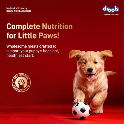 Drools Puppy Dry Dog Food 1kg | Meat and Milk Flavour | Supports Healthy Brain Development and Cognitive Function | Antioxidants | Chelated Minerals | Better Bioavailability of Minerals 3