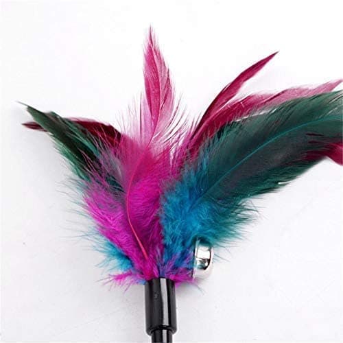 The Pets Company Cat Spring Treaser, Feather Dangler Wand, Interactive Stick Toy for Cats & Kittens 4