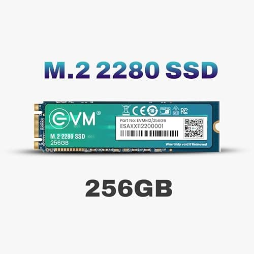 EVM 256GB M.2 SATA SSD 2280 | Internal SSD | Up to 530MB/s Read 420MB/s Write | Laptop Desktop Storage Upgrade | 5 Year Warranty (EVMM2/256GB) 2