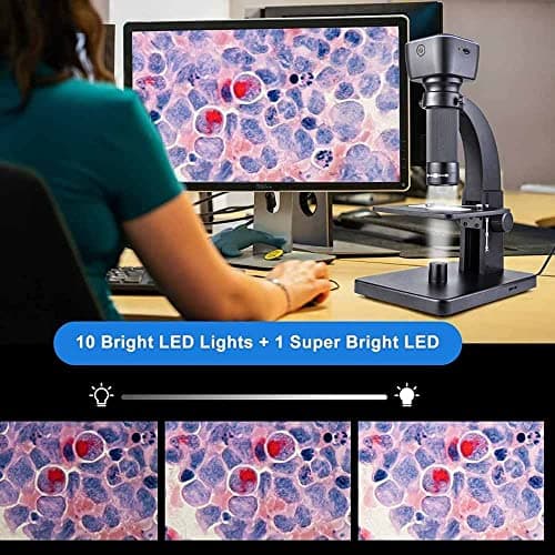 SMILEDRIVE® WiFi Digital Microscope for Students Kids Lab 2000x Magnification Dual Lenses with Dual Lens Wirelessly Connects with Android iOS Devices & with USB Wire with PC 5