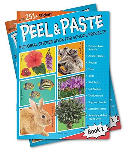 Peel & Paste - Pictorial Sticker Book For School Projects - Book 1 4