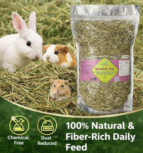 PETZEE Meadow Hay Food for Rabbits, Guinea Pigs, Hamsters & Other Small Animals | 100% Natural Fiber-Rich Daily Feed for Digestive & Dental Health (400 g) 2