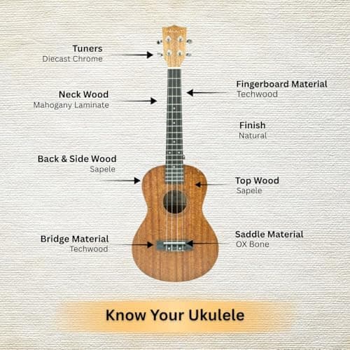 Vault UK-100T 26 inch Arched Back Tenor Ukulele with Gig-Bag & E-Book 2