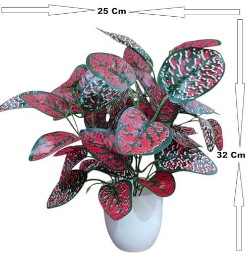 BAARIG Natural Looking Artificial Money Plant/Tree with Pot | Ornamental Plant for Interior Decor | Home/Shop/Office Décor (Red) 3