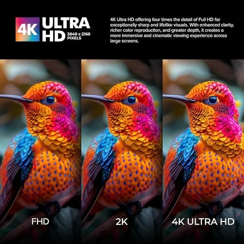 VW 127 cm (50 inches) Pro Series 4K Ultra HD Smart QLED Google TV VW50GQ2 4