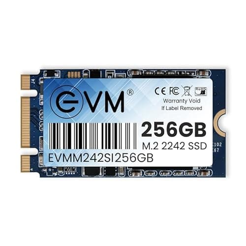 EVM 256GB M.2 SATA III SSD 2242 | Internal Solid State Drive | 520MB/s Read | 400MB/s Write | High Speed Storage | Shock Resistant | Laptop & Desktop Compatible | 5 Year Warranty (EVMM242/256GB)