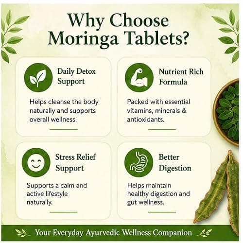Moringa Seed Powder Tablets 120 Tablets | Natural Superfood Supplement for Immunity, Digestion, Energy & Detox | Rich in Vitamins, Minerals & Antioxidants | Herbal Wellness Tablets 4