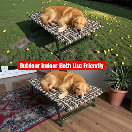 NATTNAK Elevated Dog Pet Bed with Leg Fold Iron Frame Premium Niwar Strips Size 42x24x12 Inch Indoor/Outdoor Use Already Assembled 4