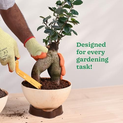 UGAOO Gardening Tools Kit for Home Garden – 6 Pcs Garden Tools Set with Cultivator, Fork, Trowel, Weeder, Khurpi & Garden Gloves | Heavy Duty Planting Tools for Home Gardening 5