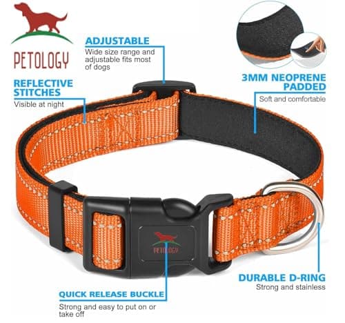 Petology Reflective Dog Leash & Collar Set for Medium Dogs (30-40cms) | 5ft Nylon Leash | Soft Neoprene Padded with Safe & Quick Release Buckle | Comfortable, Lightweight & Durable 3