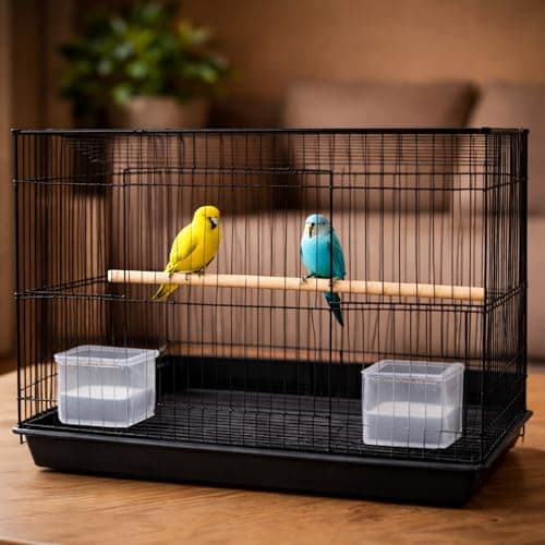 FinyPetz Bird Cage 15 Inch (Black) Small Bird Cage for Budgies Lovebirds Finches Parrots with Free Food Cup Water Cup Perch Stick Easy Clean Tray Metal Bird House Cage Portable Aviary Indoor Outdoor