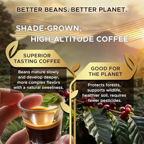 COFFEEZA Finero Mini Portable Espresso Machine & 50 Coffee Pods Gift Set | Travel Coffee Maker for Capsules & Grounds | Perfect for Home, Office & Camping 3