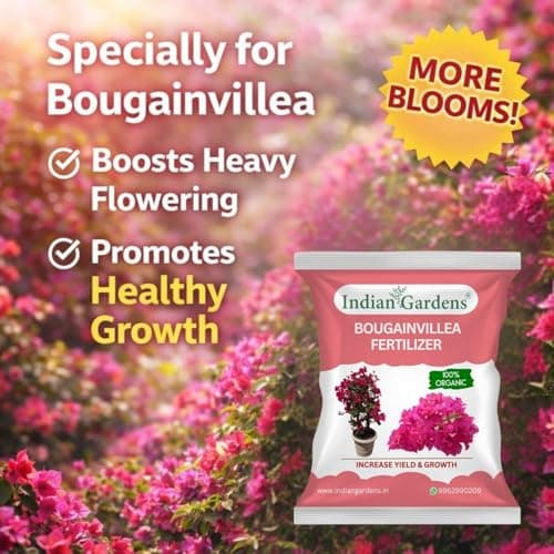 Indian Gardens - Bougainvillea Fertilizer for Plant | Bloom Booster for Vibrant Flowers | Slow Release Organic Nutrient | For Terrace & Outdoor Plants - 400 Grams 3