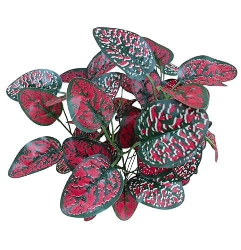 BAARIG Natural Looking Artificial Money Plant/Tree with Pot | Ornamental Plant for Interior Decor | Home/Shop/Office Décor (Red) 2