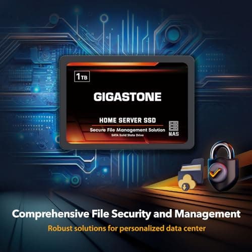 Gigastone 【NAS Certified】 Home Server SSD 1TB (2-Pack) Up to 550MB/s TLC Flash with SLC Caching 24/7 Reliable for Gaming/PC/NAS SSD 3-Year Warranty 2.5" SATA Internal Solid State Drives RAID Disk 4