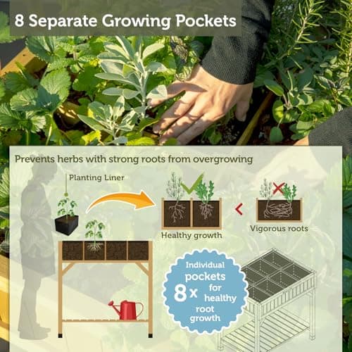 VegTrug Wooden Raised Garden Bed Planter Stand with Bottom Shelf | 8 Pocket Elevated Herb & Vegetable Plant Box for Balcony, Terrace, Patio & Indoor Outdoor Gardening | Rectangular - Natural Color 3