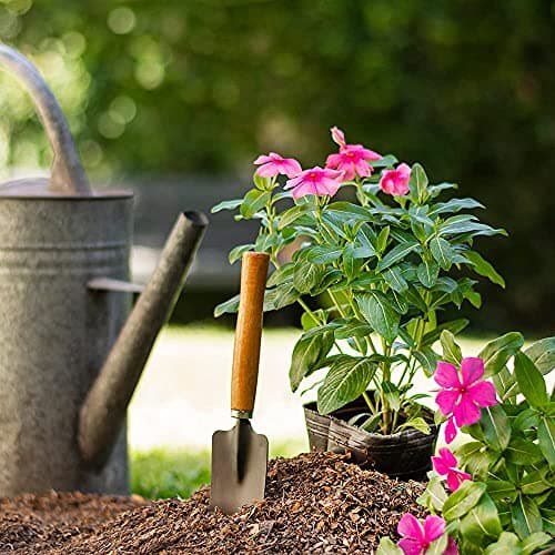 Oblivion Gardening Tool Set 4 Pcs – Pruner Shears, Hand Cultivator, Trowel & Fork with Wooden Handle for Planting, Weeding, Pruning & Soil Maintenance, Farming Equipment & Essential Garden Kit 4