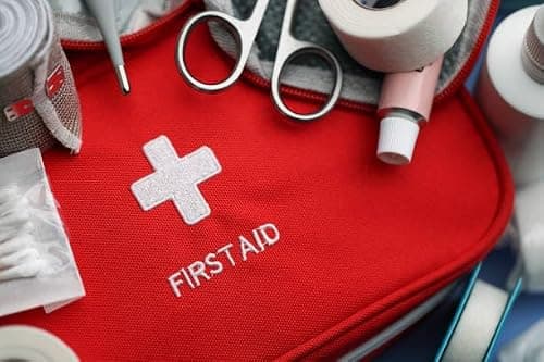 shyam Dealshub First Aid Kit Bag with Antiseptic Cream, Bandages & Scissors, 23x14x8 cm 5
