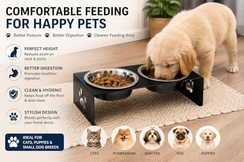 Elevated Dog Bowl Stand with 2 Stainless Steel Bowls | Raised Pet Feeder | Iron Powder Coated Stand with Paw Design | Anti-Slip Feeding Station for Small Dogs & Cats 5