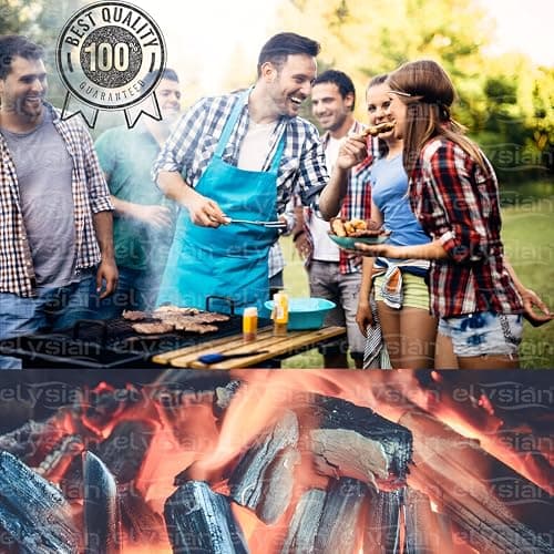 Elysian Charcoal Barbecue and Grilling Cooking Coal 1 kg for BBQ Angeethi Low Smoke Coal for Home Kitchen Garden & Cooking 5