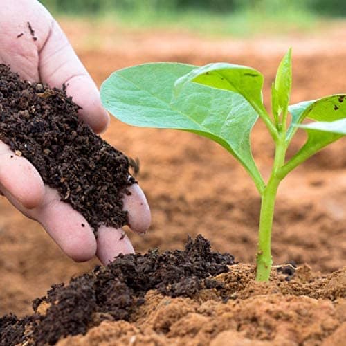 ORGANIC PLANT Primium Quality Vermicompost for Plants (25kg) 3