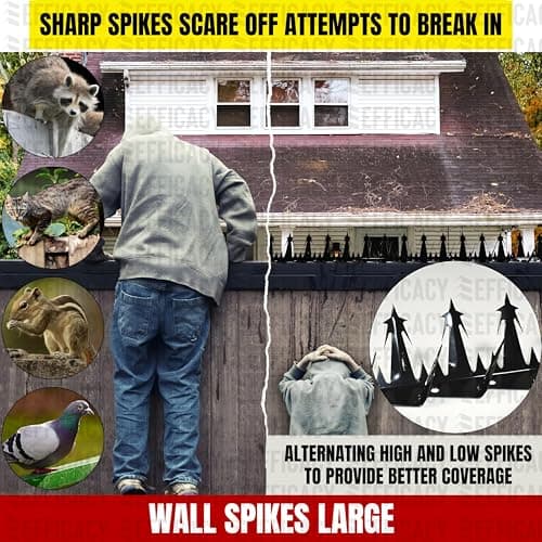 Efficacy Anti Climbing Wall Spikes Indoor and Outdoor Security | Galvanized Steel Material Spikes Triple Spike Angles for Home, Residential or Industrial Safety Use Size Large 31cm Approx (Qty - 10) 4