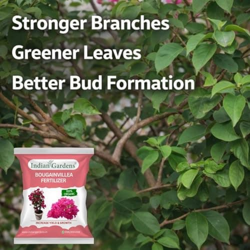 Indian Gardens - Bougainvillea Fertilizer for Plant | Bloom Booster for Vibrant Flowers | Slow Release Organic Nutrient | For Terrace & Outdoor Plants - 400 Grams 4