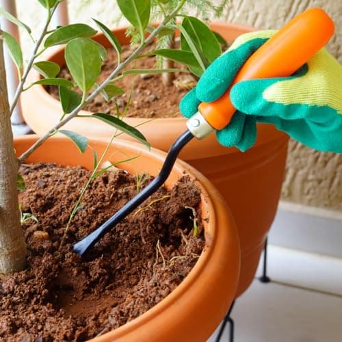 TrustBasket Gardening Hand Tools Set - 3 Pcs Small Trowel, Krupi & Weeder - Durable Garden Tools for Home Gardening Set, Gardening Tools Kit for Home Garden, Agriculture Tools & Gardening Items Combo 5