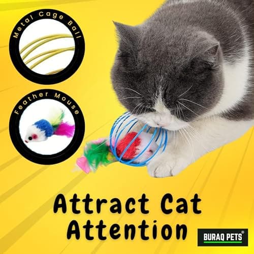 BURAQ 2 Pcs Cat Ball Toy, Cute & Fun Interactive Caged Rats Rolling Cat Balls, Mouse Ball Toys Cat Toys for Kittens 3