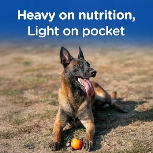 Chappi Adult (1+ Years) Dry Dog Food, Chicken & Rice, 7 kg, Complete and Balanced Food for Adult Dogs 2