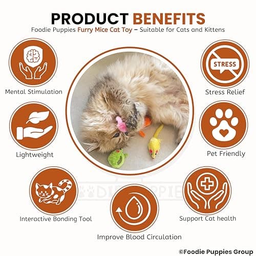 Foodie Puppies Interactive Cat Toy - (Furry Mouse, Pack of 10) | Durable Plush Toy with Soft Feather Tail for Cats and Kittens | Ideal for Bitting, Chasing Playing, Exercise & Hunting 5
