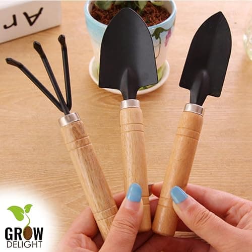 GROW DELIGHT Gardening Tools Kit-4 Pcs (Cultivator, Small Trowel, Big Trowel,Flower Seeds Packet)|Mini Gardening Tools | Home Gardening Tool Set 3