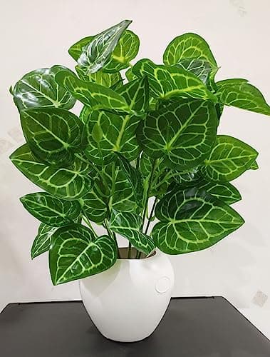 BAARIG Natural Looking Artificial Money Plant/Tree with Pot | Ornamental Plant for Interior Decor | Home/Shop/Office Décor (Green)