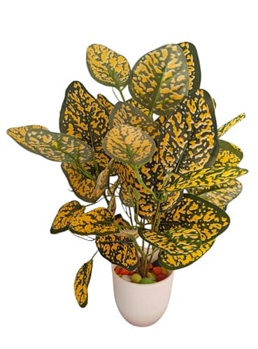 BAARIG Natural Looking Artificial Money Plant/Tree with Pot | Ornamental Plant for Interior Decor | Home/Shop/Office Décor (Yellow-New)