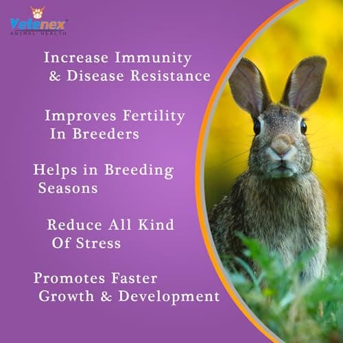 VETENEX Rabbit Vita - Vitamin & Amino Acids Supplement for Rabbit, Guinea Pig & Hamsters - 500 ML 2