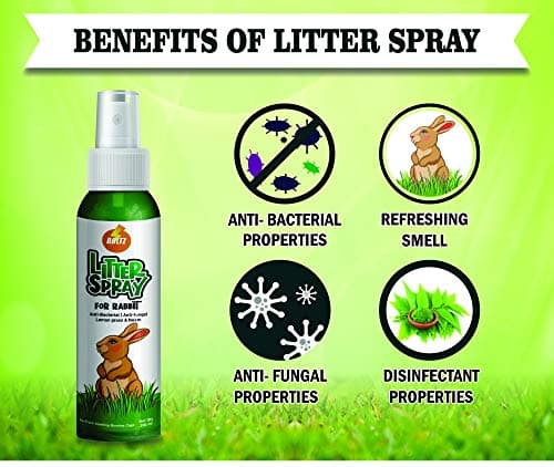 Boltz Rabbit Litter Spray with Lemon Grass and Neem, Medium, 200 ml, 1 Piece 4