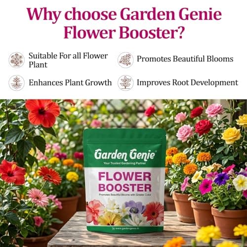 Garden Genie Flower Booster Fertilizer 830g | Organic Fertilizer For Flowering Plants | Fertilizer for Flower Plants | Essential Flowering Fertilizer Powder 2