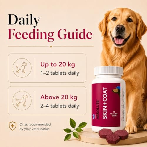 Drools Absolute Dog Supplement Tablet, Skin+ Coat 400g 110 Pieces Jar | Turmeric Flavour | Supports Skin& Food Sensitivity | Supports Skin Natural Barrier | Nutrients Rich Botanical 4