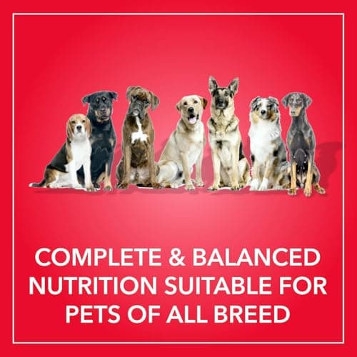 Purepet Adult Dry Dog Food 10kg | Meat & Rice Flavour | Promotes Health & Vitality | Immune Support | Healthy Digestion | Nutrient Rich 4