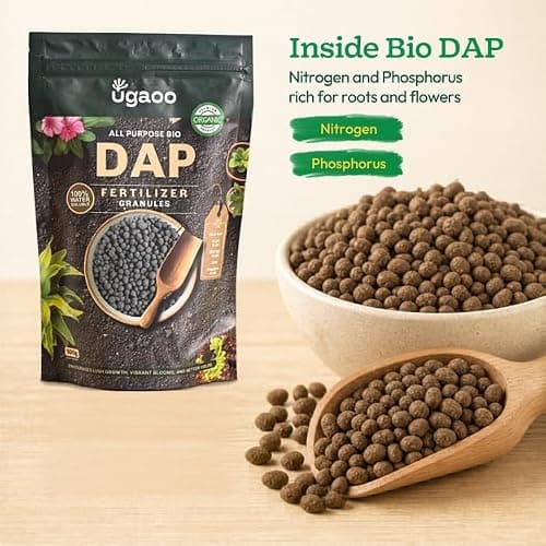 Ugaoo Bio DAP Fertilizer for Plants 500g | Organic Slow-Release Granules with Soil Microbes | Flowering & Root Growth Booster | NPK Plant Food for Rose, Hibiscus, Tomato & Home Garden Plants 2
