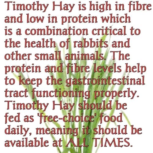 Herbal Sinovet India Alfalfa/Timothy/Lucern/Orchid/Peanut/Mix hay for Rabbit,Guinea Pig, Hamsters, 5 Kg,All Life Stages 4
