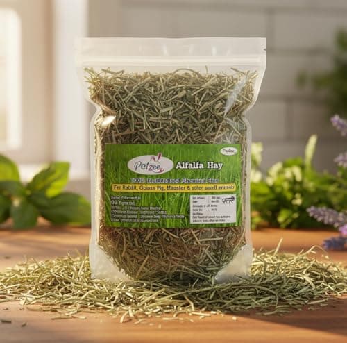 Petzee Alfalfa Hay, Food for Baby and Young Rabbits, Guinea Pig, Hamsters and Other Small Animals (400 GMS, Pack of 2) 4